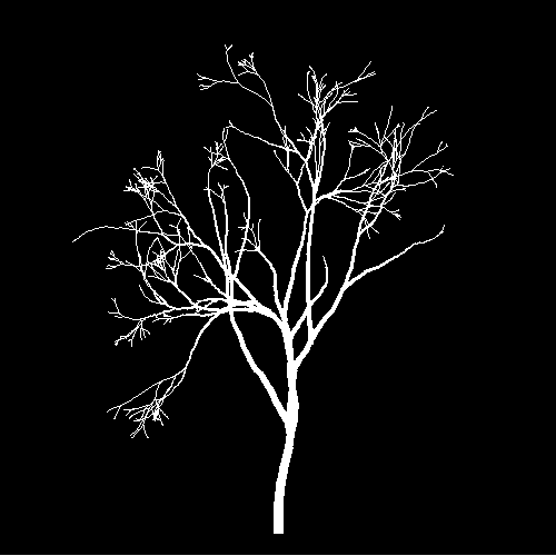 A simple branched tree.